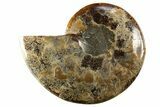 Cut & Polished Ammonite Fossil (Half) - Madagascar #310662-1